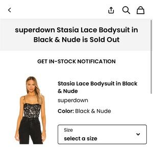 Superdown Lace Bodysuit in Black and Nude
